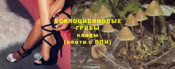 амф Белоозёрский
