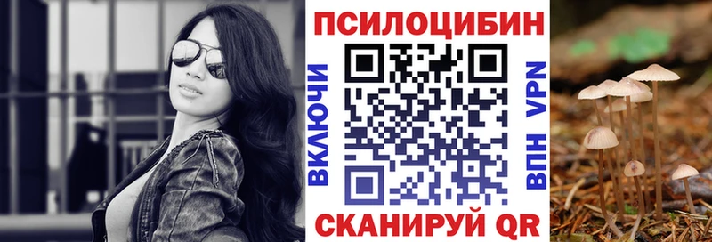 Галлюциногенные грибы MAGIC MUSHROOMS  Будённовск 