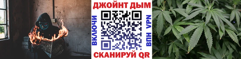 Марихуана семена  где купить наркоту  Будённовск 